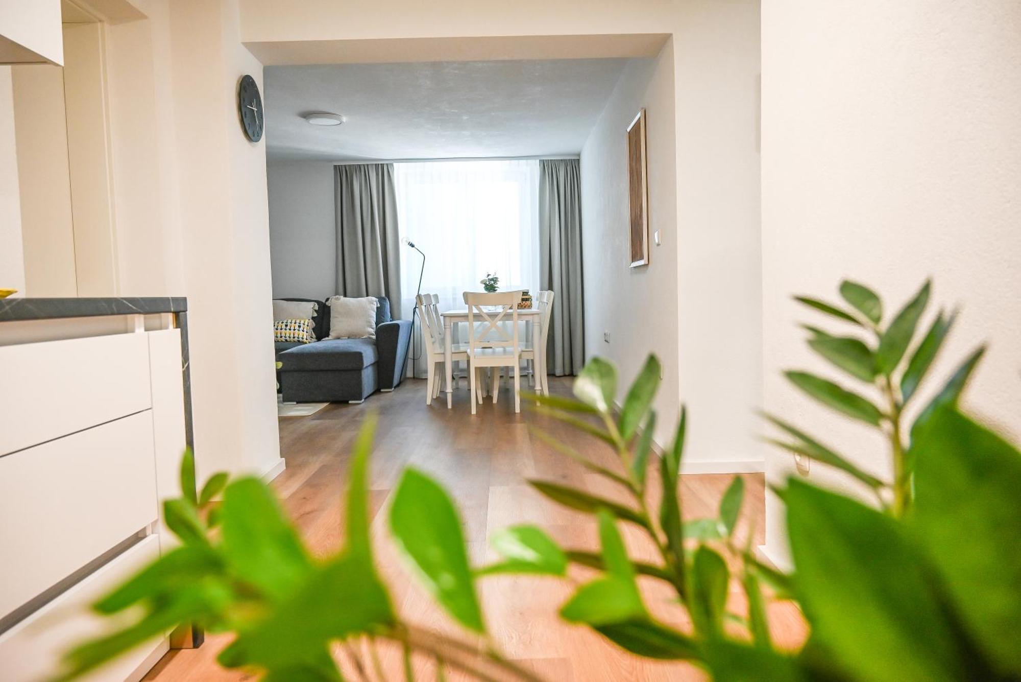 Apartma Cave Bliss ماريبور المظهر الخارجي الصورة